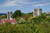 Gotland - Visby: eastern wall - photo by A.Ferrari