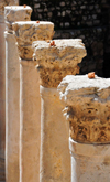 Jerusalem, Israel: Byzantine Cardo, the Street of the Pillars - columns with Corinthian order capitals - the Roman Cardo Maximus was a colonnaded street that traversed the city from north to south - Jewish quarter - remnant of Aelia Capitolina - photo by M.Torres