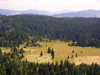 Montenegro - Crna Gora - Durmitor national park: glade - photo by J.Kaman